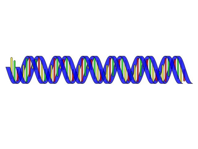 Double Helix Color