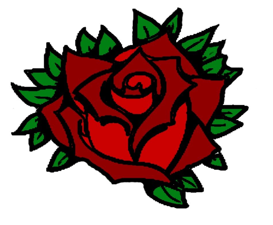 open rose drawing