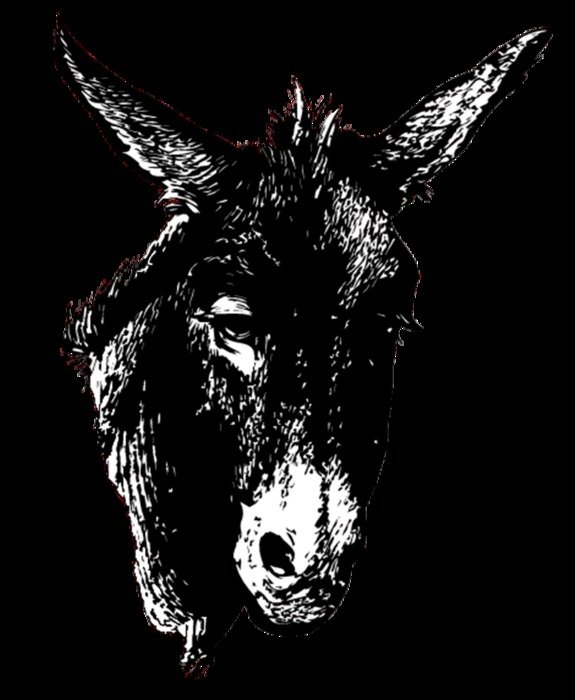 Donkey Silhouette drawing