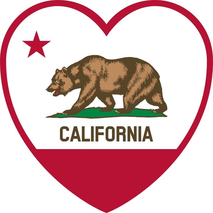 California Flag Vector Original