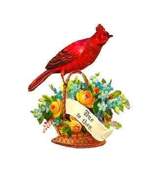 Free Bird Red Robin Perched On Yellow Rose And Flower Basket