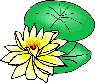 Lotus Flower Free Get This