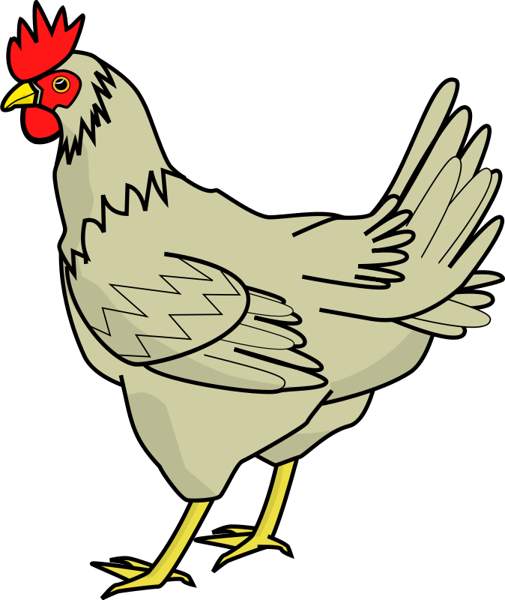 Grey chicken clipart free image download