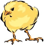 Arthurs Free Color Poultry Page 1