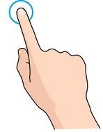 Pointer Finger Sco