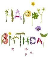 Colorful Happy Birthday clipart