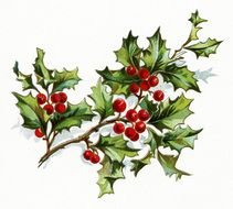 Colorful drawing of the berries on the branch clipart