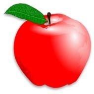 Red Apple Free Images drawing