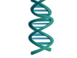Helix Dna 3d Model