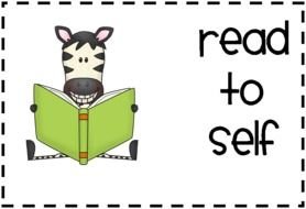 zebra with a book in the picture