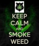 Related Pictures Weed Smoking 1 Png
