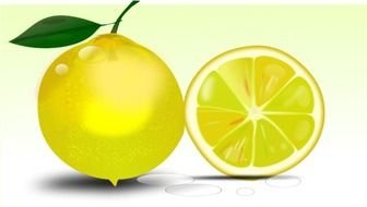 Clipart of Lemon and half of lemon