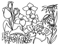 flowers and insects are painted in a coloring book
