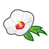 Rose Of Sharon Icon Coloring Book Colouring Sheet