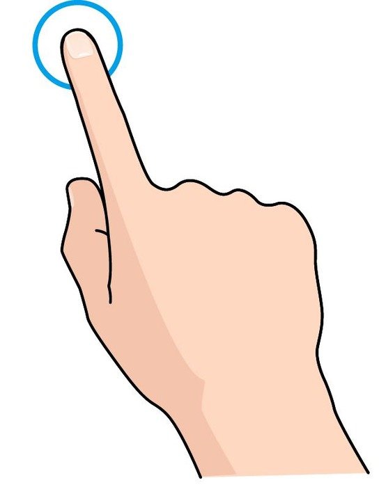 Pointer Finger Sco