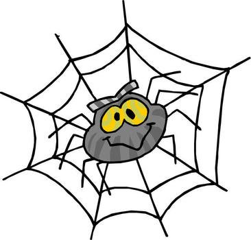 Spiders The Daily Compost