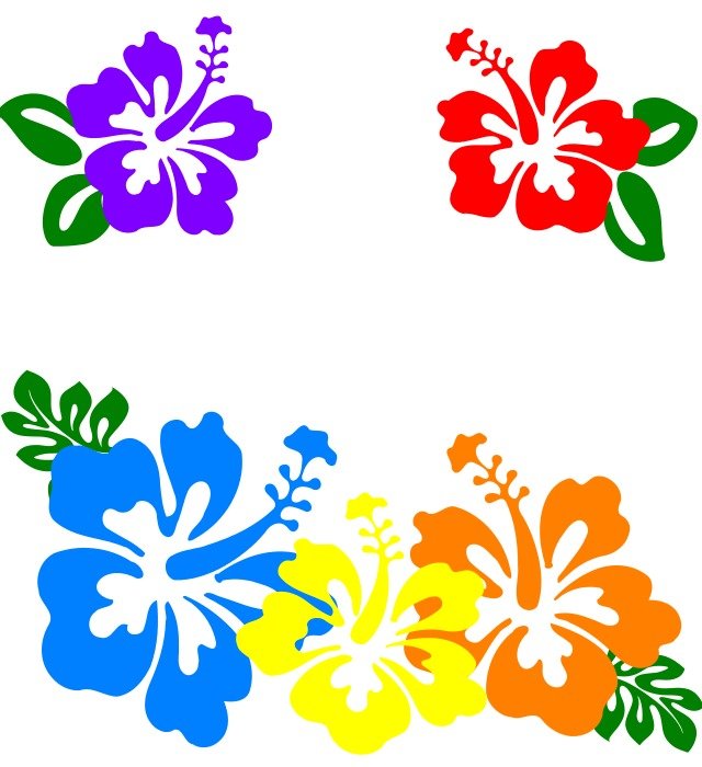 Hawaiian Flower Border Panda Free Images clipart N2