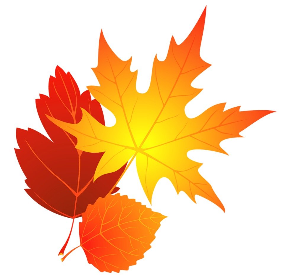 Clipart of Autumn Leaves