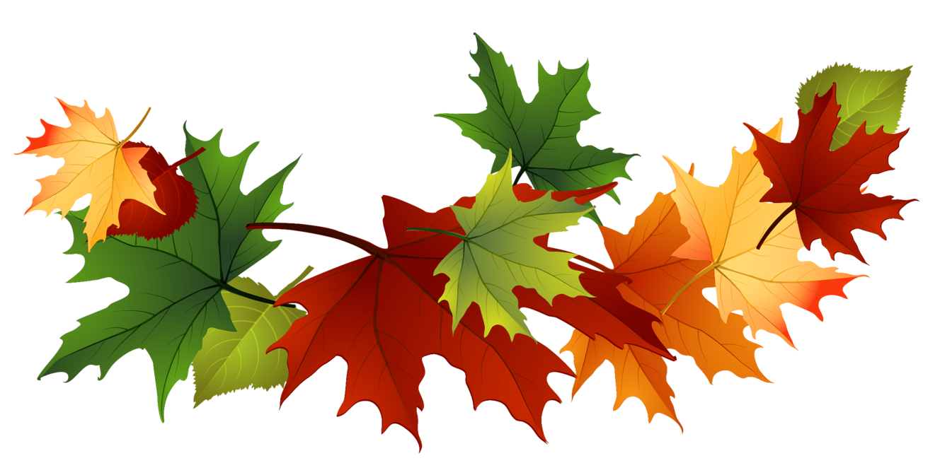 Art Fall Leaf drawing free image download