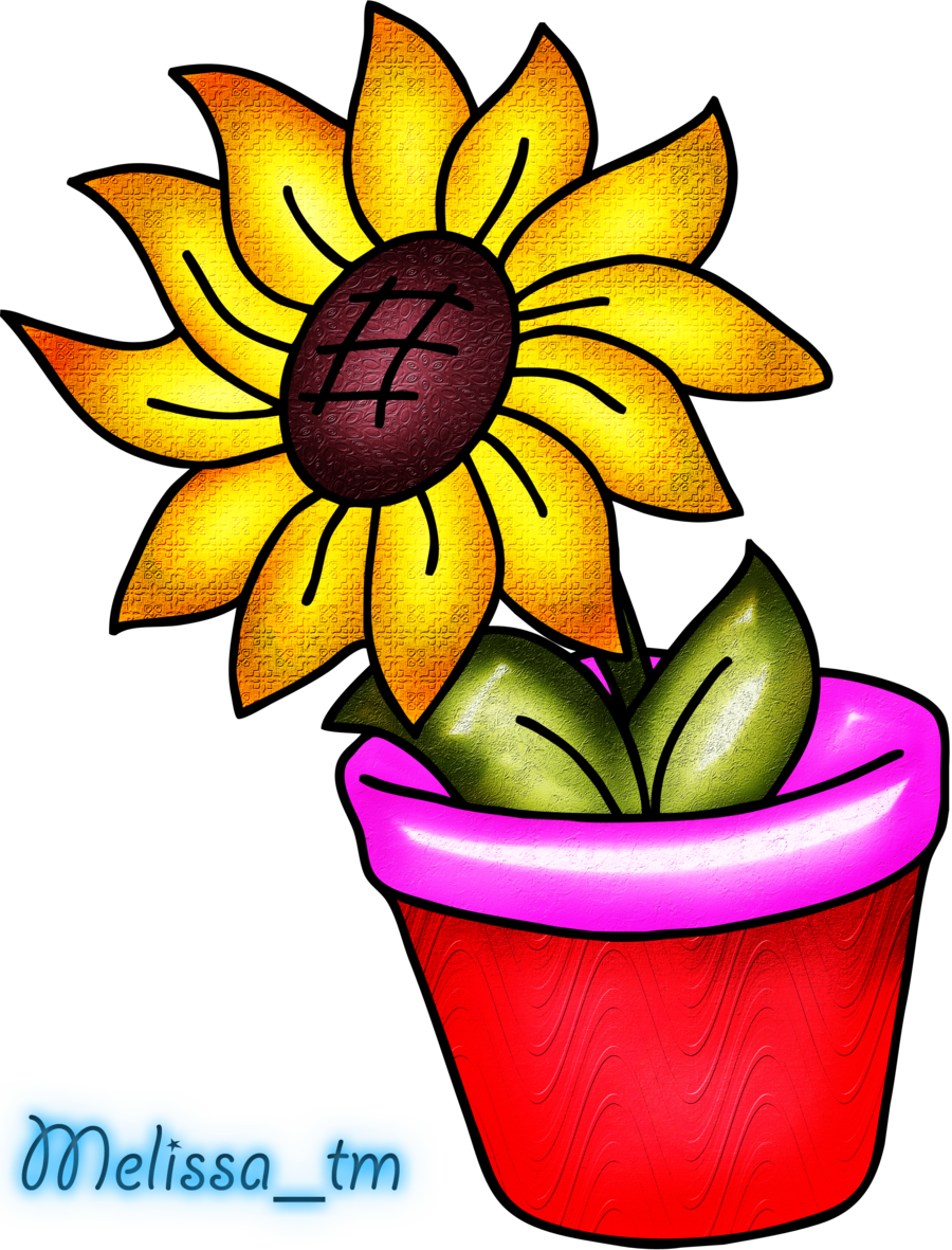 Sunflower In Vase drawing free image download