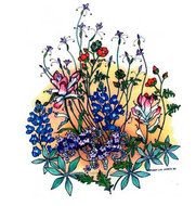 Texas Spring Wildflower Print Bluebonnet Floral Botanical