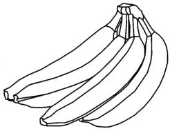 drawn black and white bananas