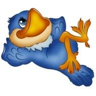 Funny Cartoon Bird Images Of Tropical Birds Owls