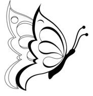 black-white butterfly as a picture for clipart