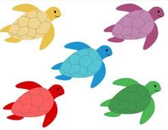 drawings of turtles of different colors