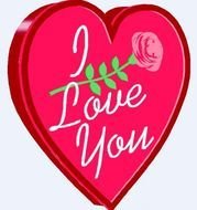 Te Amo N5