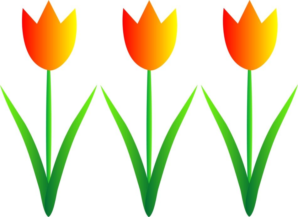 Free Flower Photo Wallpaper drawing