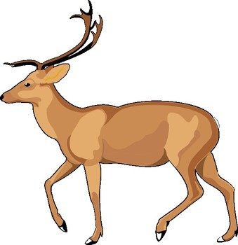 Nice Deer For Personal Or Commercial Purposes Use This Clip