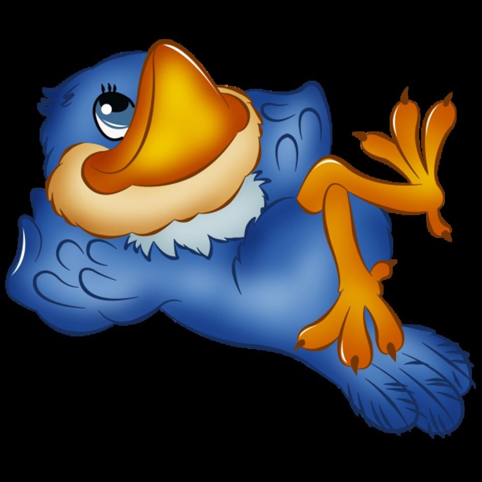Funny Cartoon Bird Images Of Tropical Birds Owls