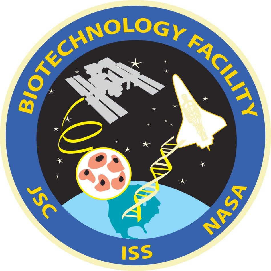 İllustration of the NASA logo