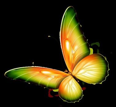 Yellow And Green Transparent Butterfly clipart