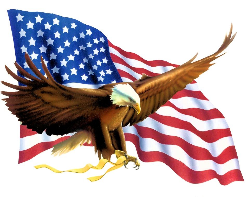 eagle on the background of the american flag for clipart