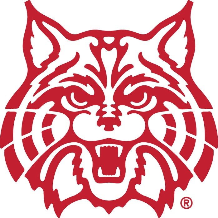 cat Sports Logos drawing