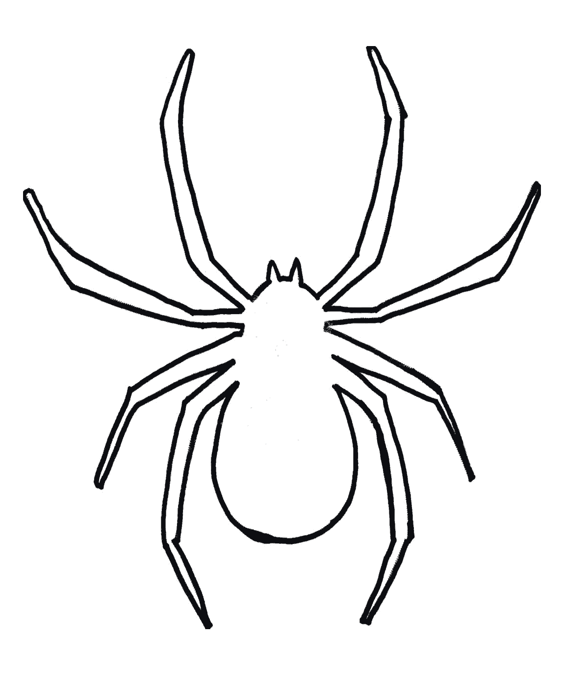 halloween-spider-outline-free-image-download