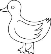 Duck Black And White Animalgals