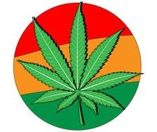 Marijuana Vector Image Download Free Graphics Art