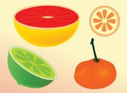 fruits on a light background