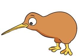New Zealand Animals Kiwi Cartoon The Bird Is A Small