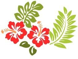 Hibiscus Flowers Vector