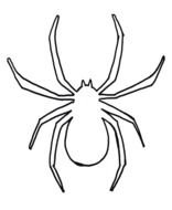 Halloween Spider, outline