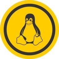 penguin in yellow circle