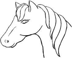 Donc Tout D&rsquo;abord J&rsquo;ai R&amp;233cup&amp;233r&amp;233 Un Dessin Sur Site De