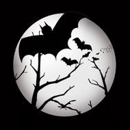 Vampire Bats Silhouette In Full Moon