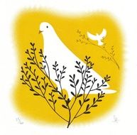 Pin By Rosalind Smith On Dove Pinterest