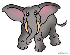 Free Animals By Phillip Martin Elephant