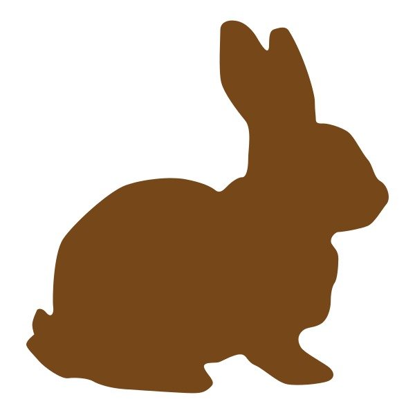 Rabbit Running Panda Free Images N3